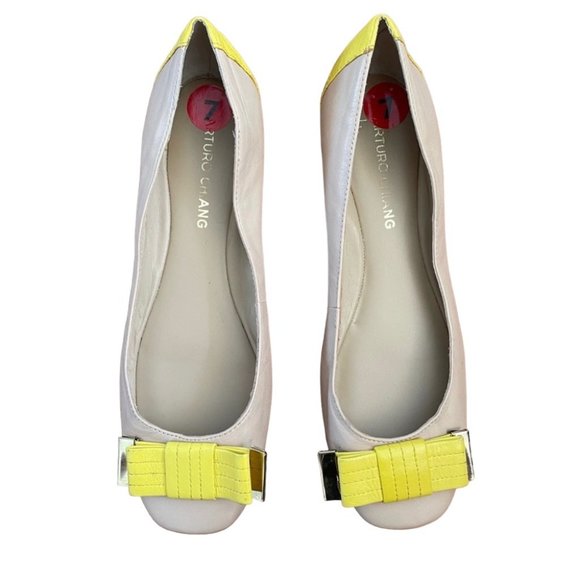 Arturo Chiang ballerina flats 7 - Picture 1 of 5
